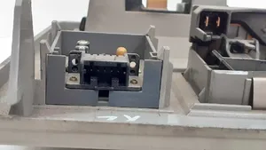 Citroen ZX Rivestimento della console di illuminazione installata sul rivestimento del tetto 9607447177