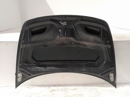 Citroen C3 Pluriel Motorhaube 7901K4