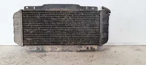 Ford Fiesta Dzesēšanas šķidruma radiators 