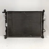 Renault Megane II Dzesēšanas šķidruma radiators 