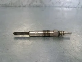 Renault Scenic I Glow plug 0250202022