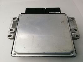 Hyundai H-1, Starex, Satellite Sterownik / Moduł ECU 391014A111