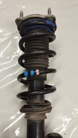 Mercedes-Benz C AMG W205 Front shock absorber with coil spring A2053208501