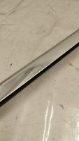 Mercedes-Benz S C217 Rivestimento portiera posteriore (modanatura) A2176701500