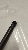 Mercedes-Benz AMG GT R190 C190 Tailgate strut A1909800164