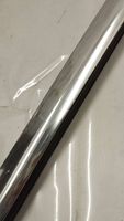 Mercedes-Benz S C217 Rivestimento portiera posteriore (modanatura) A2176701500