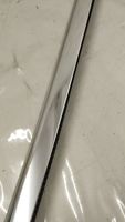 Mercedes-Benz S C217 Rivestimento portiera posteriore (modanatura) A2176701600