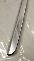 Mercedes-Benz S C217 Rivestimento portiera posteriore (modanatura) A2176701600