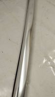 Mercedes-Benz S C217 Rivestimento portiera posteriore (modanatura) A2176701600