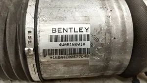 Bentley Flying Spur Takailmajousituksen ilmaiskunvaimennin 4w0616001a