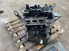 Ford Fiesta Engine H1BG6007