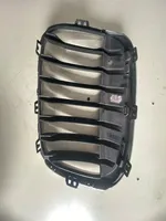 BMW X1 F48 F49 Griglia superiore del radiatore paraurti anteriore 7383366