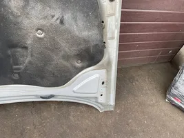 Volkswagen PASSAT B6 Engine bonnet/hood 