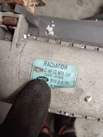 Hyundai Santa Fe Dzesēšanas šķidruma radiators 25310H1920