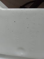 Volvo S90, V90 Serbatoio/vaschetta liquido lavavetri parabrezza 31662427