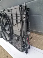 Citroen C4 Grand Picasso Dzesēšanas šķidruma radiators 9809141780