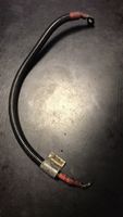 BMW 3 E46 Cables (alternador) 1439744