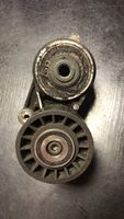 Mercedes-Benz SL R129 Napinacz paska wielorowkowego / Alternatora 1032021140