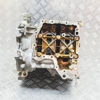 Volkswagen Polo V 6R Blocco motore 03D103019S