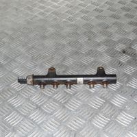 Citroen C3 Picasso Kraftstoffverteiler Einspritzleiste Verteilerrohr 9685297580