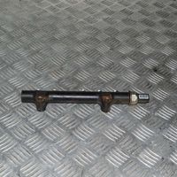 Citroen C3 Picasso Kraftstoffverteiler Einspritzleiste Verteilerrohr 9685297580