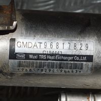 Chevrolet Epica EGR-venttiili/lauhdutin 96817829