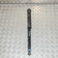 Citroen C1 Rear shock absorber/damper 