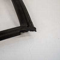 Hyundai Genesis Rubber seal front door (on door) 