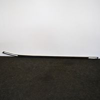 BMW X3 F25 Door glass trim 7205714