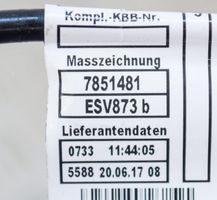 BMW 4 F32 F33 Faisceau câbles de frein 7851481