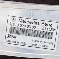 Mercedes-Benz E W238 Muu korin osa A2136206300