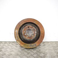 Mercedes-Benz ML W166 Rear brake disc A1664230212