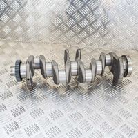 Volkswagen Golf VII Crankshaft 04L105021B