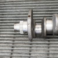 Volkswagen Golf VI Crankshaft 