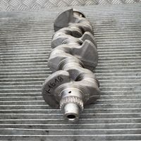 Volkswagen Golf VI Crankshaft 