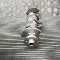 Volkswagen Golf VI Crankshaft 