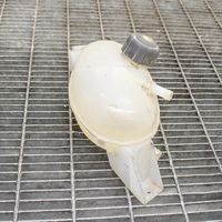 Renault Master III Coolant expansion tank/reservoir 217100015R