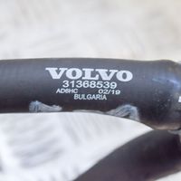 Volvo S90, V90 Трубка (трубки)/ шланг (шланги) 31368539