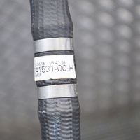 Tesla Model X Variklio aušinimo vamzdelis (-ai)/ žarna (-os) 104153100H