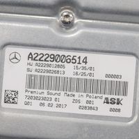 Mercedes-Benz GLC X253 C253 Garso sistemos komplektas A2229006514