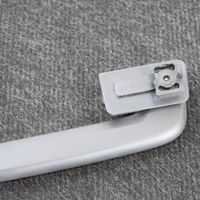 Ford Focus Rear interior roof grab handle 