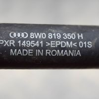 Audi A4 S4 B9 Przewód / Wąż chłodnicy 8W0819350H