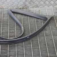 Maserati Ghibli Rubber seal front door (on door) B249