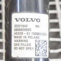 Volvo XC40 Ammortizzatore posteriore 32221542