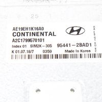 Hyundai Ioniq Centralina/modulo del motore 954412BAD1