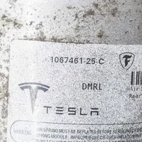Tesla Model S Amortyzator tylny 7235823008