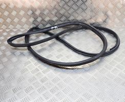 Toyota Prius (XW50) Rubber seal front coupe door 