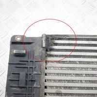 Volkswagen Crafter Chłodnica powietrza doładowującego / Intercooler 2E0145804