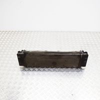 Volkswagen Crafter Chłodnica powietrza doładowującego / Intercooler 2E0145804