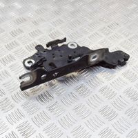 BMW 4 F32 F33 Cerniere del vano motore/cofano 2418A